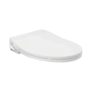 Nắp rửa cơ TOTO TCW11S (E6)