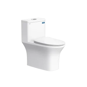 Bồn cầu 1 khối Viglacera V72